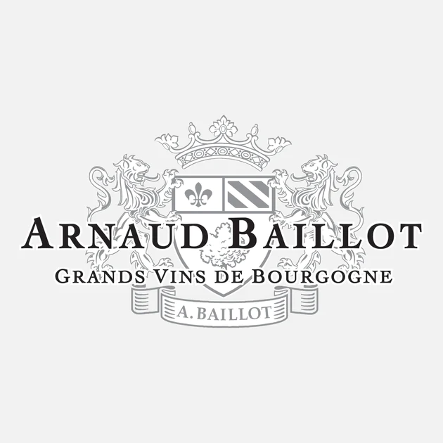 Arnaud Baillot