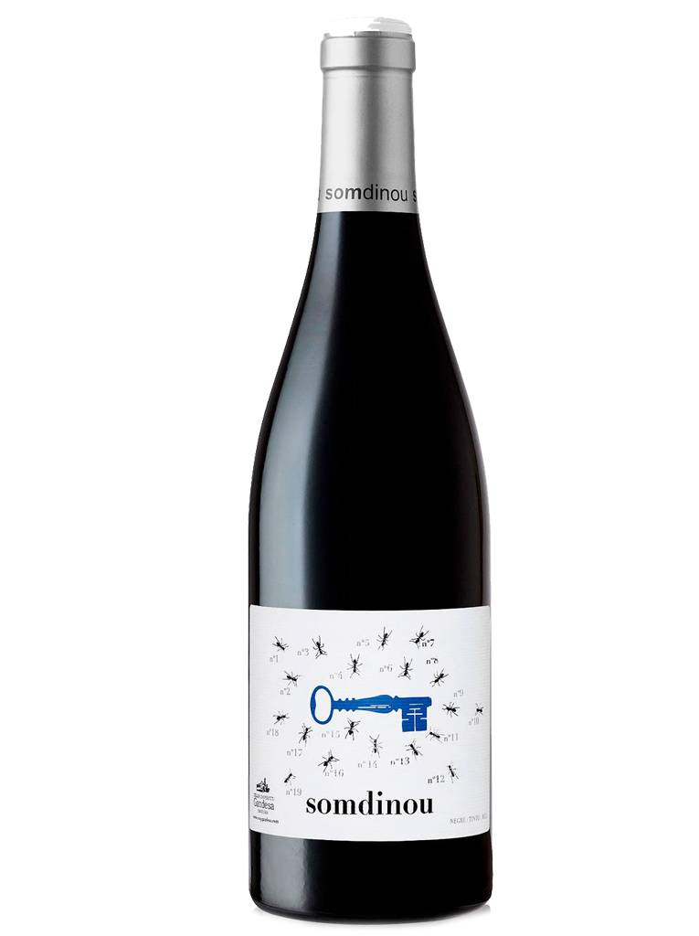Somdinou Negre Jove
